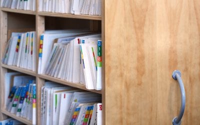 How Healthy is Your Patient Database?